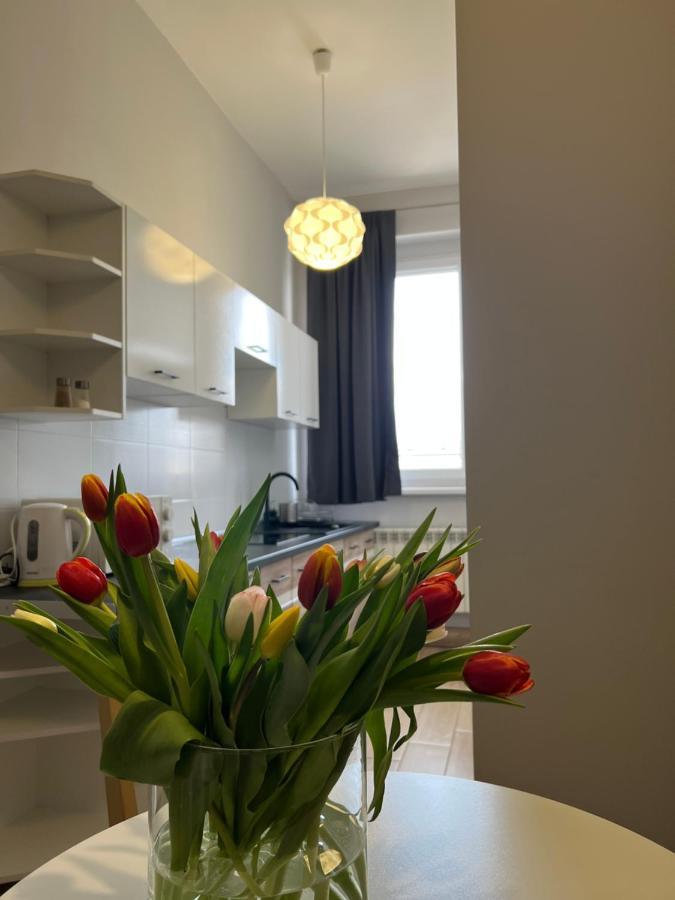 Business Center Appartement Skierniewice Buitenkant foto
